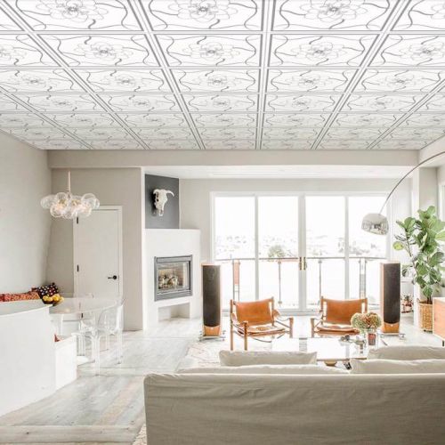 Các loại la phông thường dùng cho nhà ở Các loại la phông thường dùng cho nhà ở